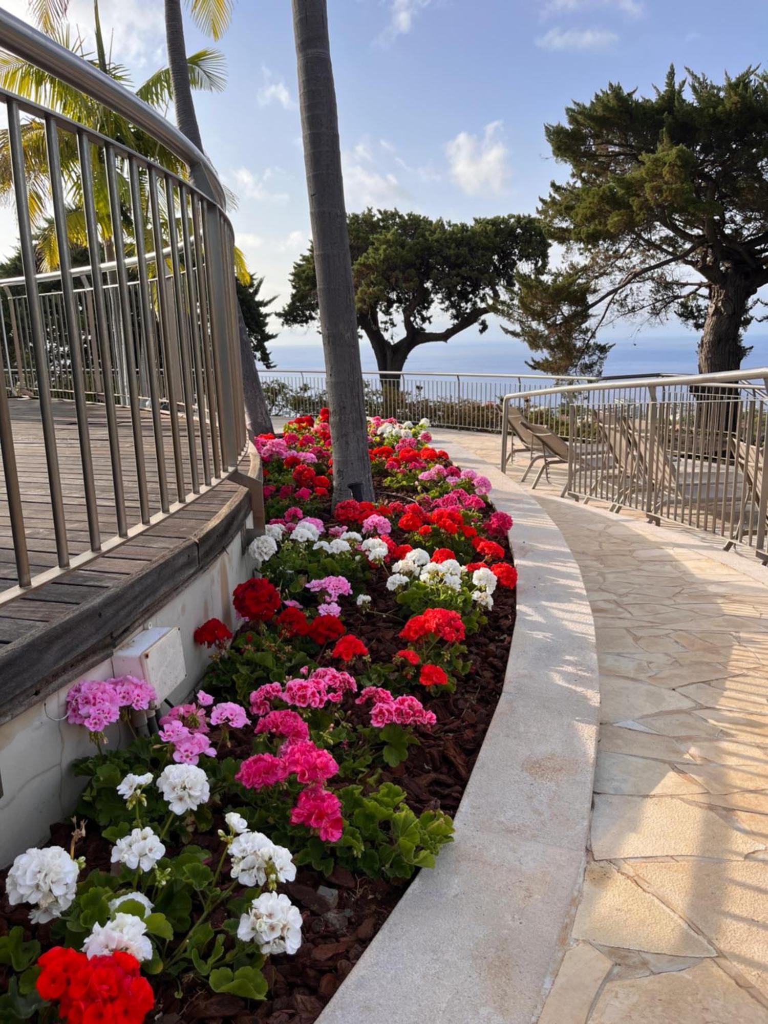 Hotel Quinta Funchal Gardens - Adults Only Exteriér fotografie